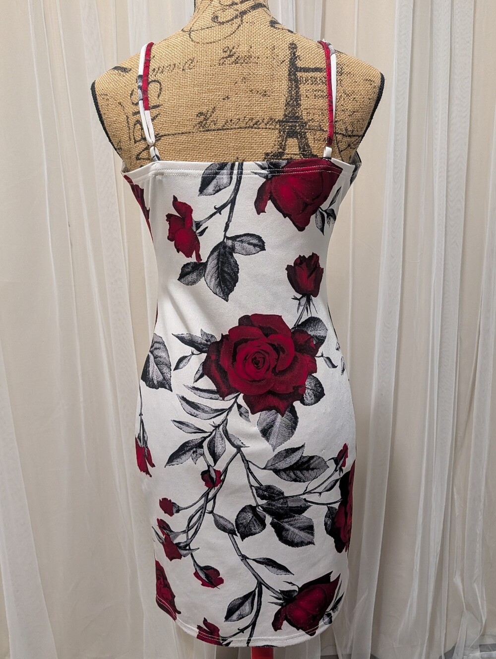Red Rose Print Dress - Picture 5 of 6